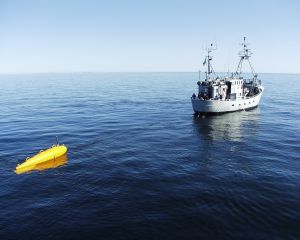 CTD chain attached to a float